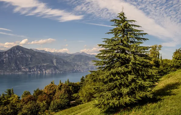 Картинка горы, озеро, Италия, Italy, Lake Garda, Lago di Garda
