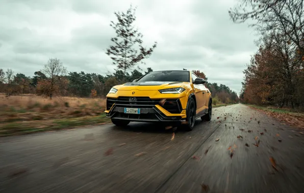 Lamborghini, drive, Urus, Lamborghini Urus Performante