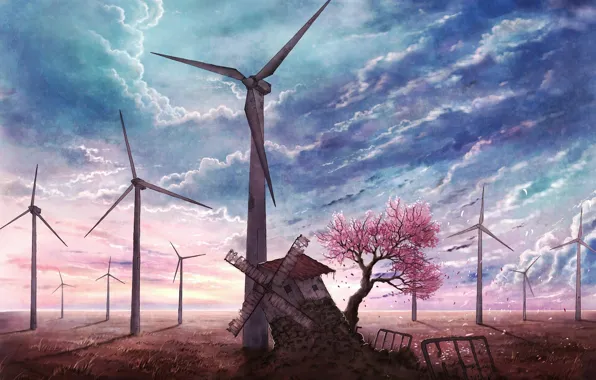 Небо, голубое, лепестки, сакура, мельница, цветущая, заброшенная, Sakura tree