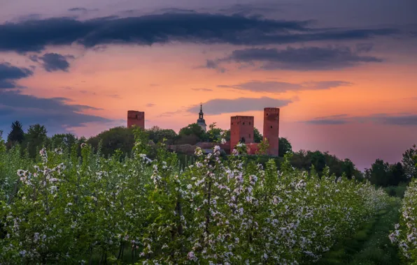 Замок, весна, сад, цветение