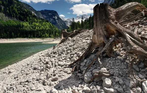 Картинка Австрия, Republik Österreich, Republika Avstrija, Osztrák Köztársaság, Republika Austrija, Vorderer Gosausee