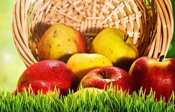 Картинка трава, корзина, яблоки, желтые, красные, фрукты