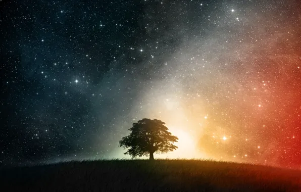 Звезды, ночь, Дерево, холм