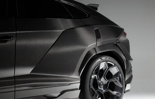 Lamborghini, внедорожник, SUV, Urus, Урус, Carbon Edition, 2024, Lamborghini Urus R'Evo