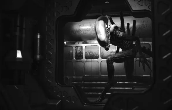 Чужой, Alien, Космический корабль, Севастополь, Alien Isolation, Sevastopol Station, Ксеноморф XX121, Охотиться