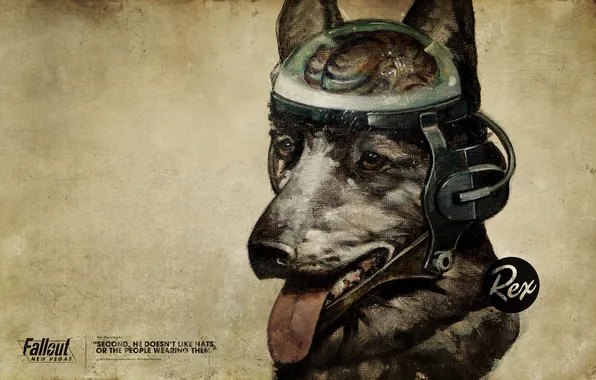 Картинка пес, мозг, Fallout, New Vegas, Rex