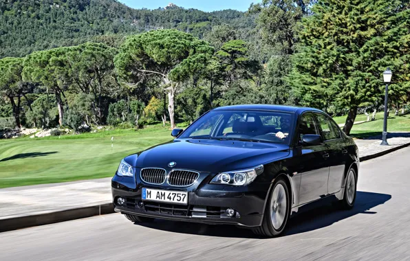 Дорога, скорость, BMW, Sedan, 545i