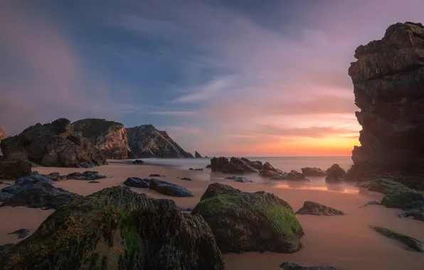 Картинка море, пляж, водоросли, закат, камни, скалы, берег