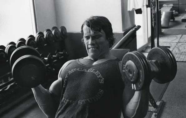 Картинка спорт, Арнольд Шварценеггер, Arnold Schwarzenegger, Бодибилдинг