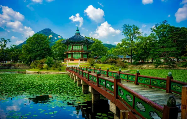 South Korea, в парке, Южная Корея, деревянный мост, Kenbokkun