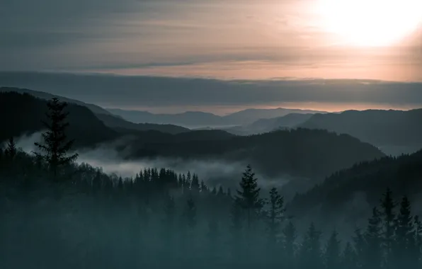 Картинка деревья, пейзаж, туман, гора, красота, Норвегия, леса
