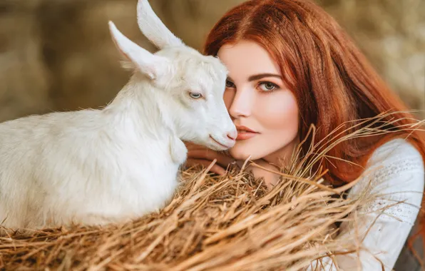 Картинка взгляд, девушка, лицо, сено, рыжая, рыжеволосая, коза, козлёнок