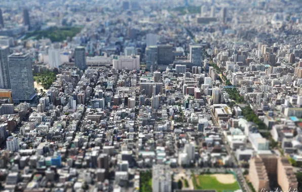 Япония, Tokyo, Japan, вид сверху, tilt-shift, панорама города