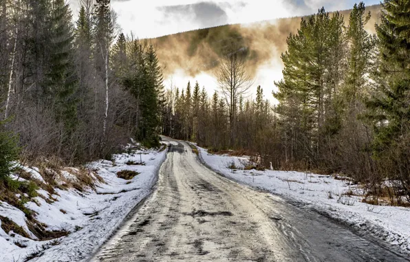 Дорога, лес, снег