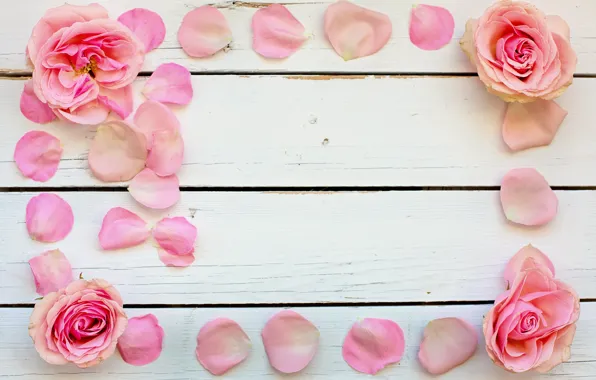 Картинка нежность, розы, лепестки, розовые, flower, wood