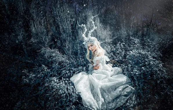 Трава, взгляд, листья, девушка, свет, ночь, ветки, природа