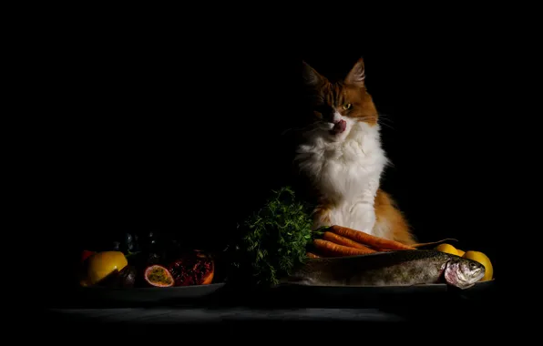 Язык, кошка, кот, взгляд, морда, поза, стол, еда
