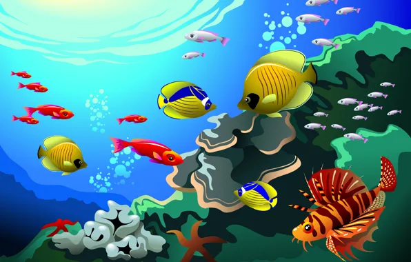 Солнце, Море, Кораллы, Рыбки, Подводный мир