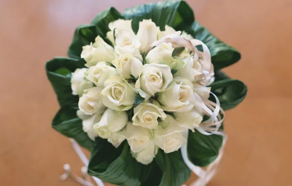 Цветы, розы, букет, белые, свадебный