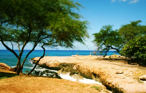 Картинка дорога, море, волны, деревья, камни, побережье, Пляж, Hawaii