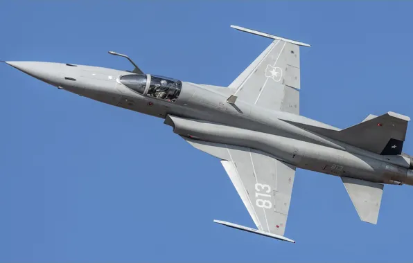 Картинка оружие, самолёт, F-5