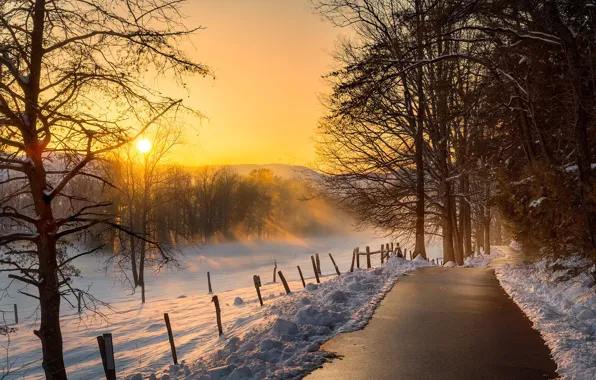 Зима, снег, деревья, закат, фото, дорожка, Frank Delargy