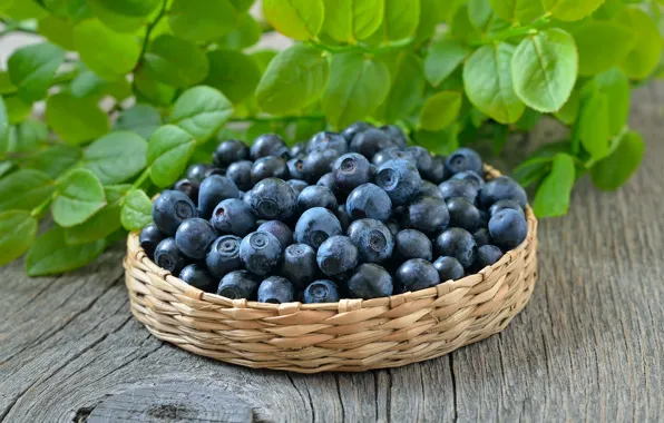 Ягоды, черника, корзинка, blueberry