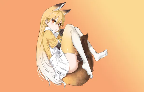 Фон, арт, девочка, kemono friends