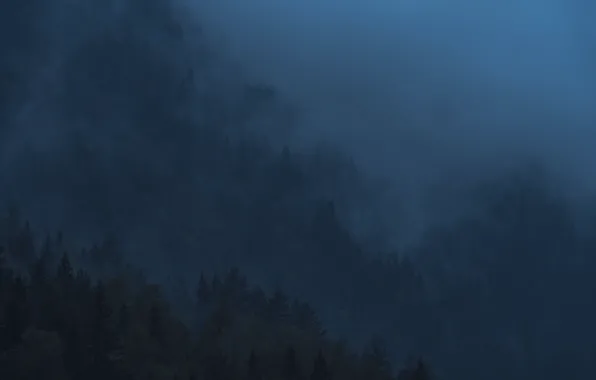 Картинка склон, природа, туман, деревья, сумерки