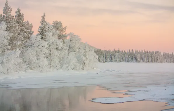 Картинка зима, деревья, озеро, рассвет
