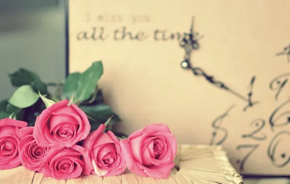 Розы, букет, розовые
