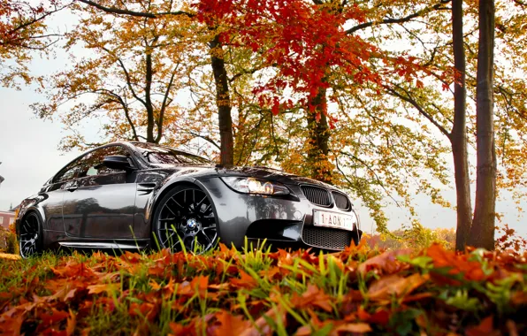 Картинка BMW, autumn, leaves, e92, fall