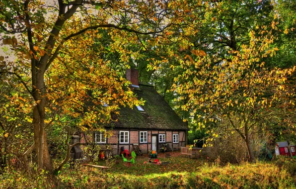 Картинка крыша, осень, деревья, дом, листва, Германия, арт, лавочка