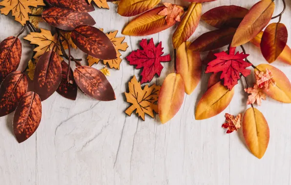 Осень, листья, фон, дерево, colorful, wood, background, autumn