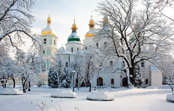 Зима, снег, деревья, Украина, Киев, Софийский собор