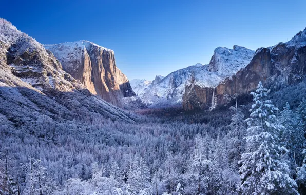 Картинка зима, лес, горы, долина, Калифорния, California, Yosemite Valley, Национальный парк Йосемити