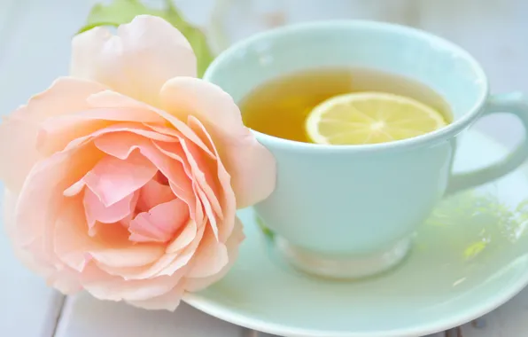 Цветок, лимон, чай, розовая, роза, чашка, блюдце