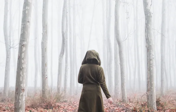 Картинка осень, лес, туман, человек, силуэт