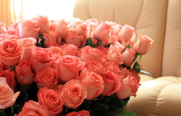 Любовь, цветы, праздник, романтика, розы, день, розовые, рождения