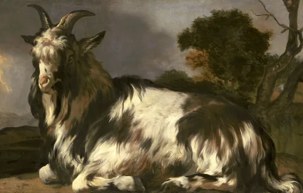 Животные, масло, картина, холст, Ян Баптист Веникс, 1660, Jan Baptist Weenix, Лежащая коза