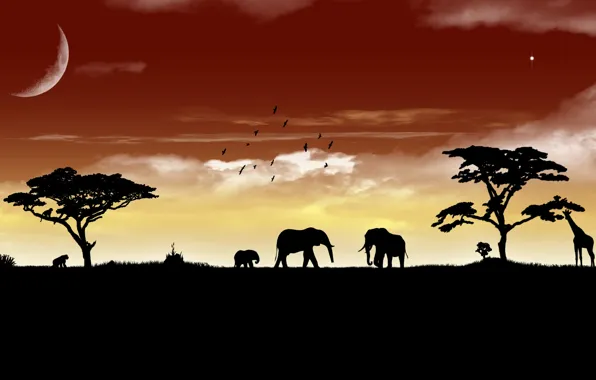 Животные, небо, пейзаж, звери, слон, саванна
