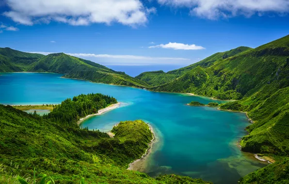 Wallpaper, nature, High Definition