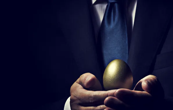 Suit, business, golden eggs