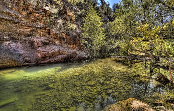 Картинка вода, деревья, камни, скалы, green, обработка, дно, Nature