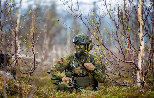 Армия, солдат, Norwegian Army