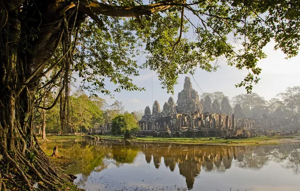 Картинка болото, цивилизация, камбоджа