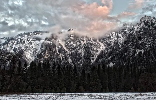 Картинка лес, пейзаж, горы