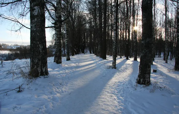 Картинка зима, дорога, лес, солнце, снег, пейзаж, природа, настроение