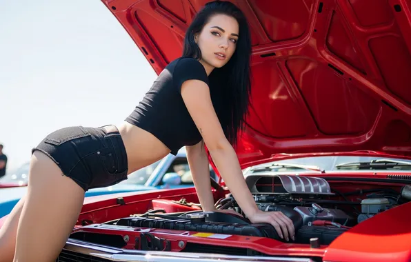 Car, авто, девушка, обои, брюнетка, арт, wallpaper, girl