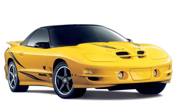 Pontiac, Firebird, Trans Am, Collector Edition